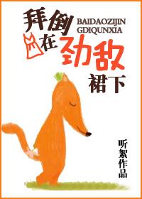 寻秦记之养鸽记