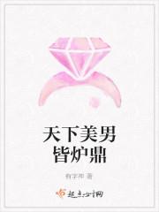 天下美男皆炉鼎