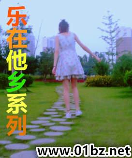 乐在他乡系列