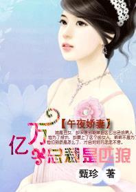亿万老公是匹狼