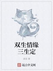 双生情缘