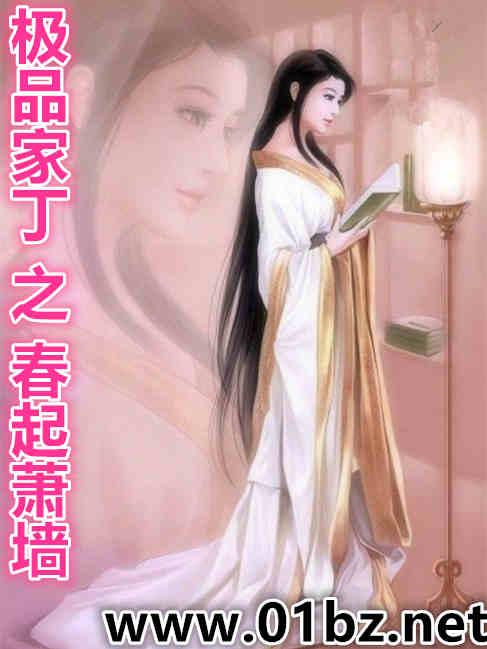 极品家丁之春起萧墙