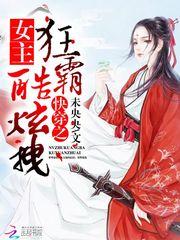 阿庆淫传系列