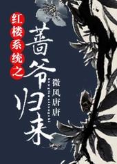 红楼系统之蔷爷归来