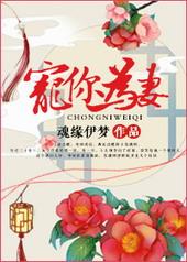 宠你为妻