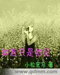 穆桂英外传 1-9 全文完结