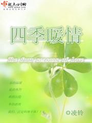 七巧玲珑心