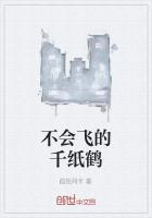 不会飞的千纸鹤