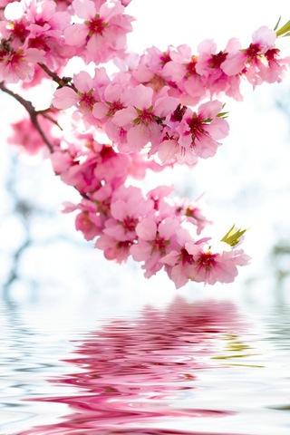 禽兽日记