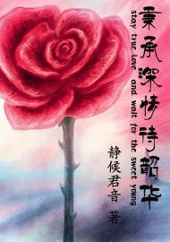 昭仪秘史
