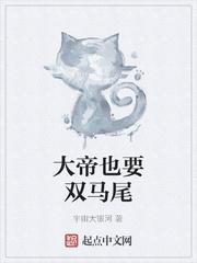 我的老千生涯