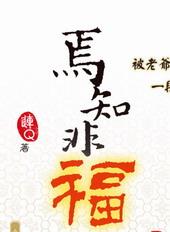 焉知非福[出书版]