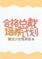 合格总裁培养计划 完结+番外