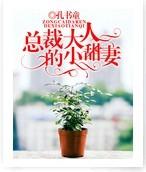 姗姗的网络情缘