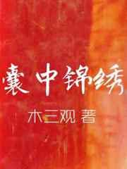囊中锦绣