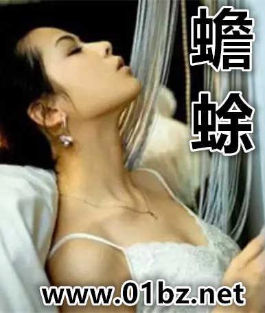 蟾蜍