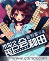 总裁的小侄妻